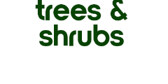 TREES AND SHRUBS